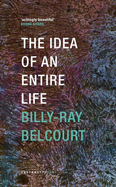 The Idea of an Entire Life