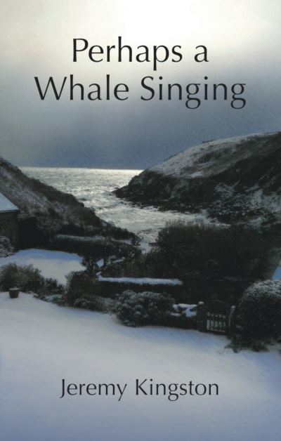 Perhaps a whale singing